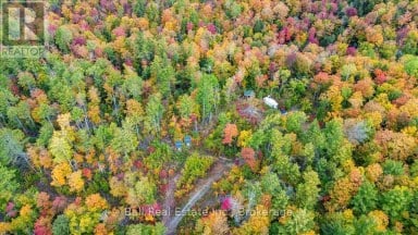 4249 OLD HASTINGS ROAD Limerick Ontario photo 20