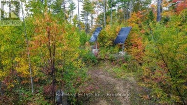 4249 OLD HASTINGS ROAD Limerick Ontario photo 21