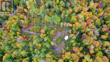 4249 OLD HASTINGS ROAD Limerick Ontario photo 22