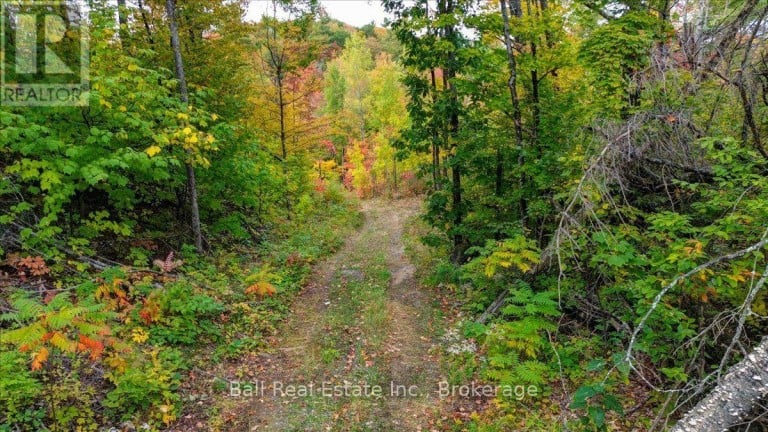 4249 OLD HASTINGS ROAD, Limerick, Ontario, K0L1W0
