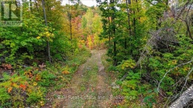 4249 OLD HASTINGS ROAD Limerick Ontario photo 24