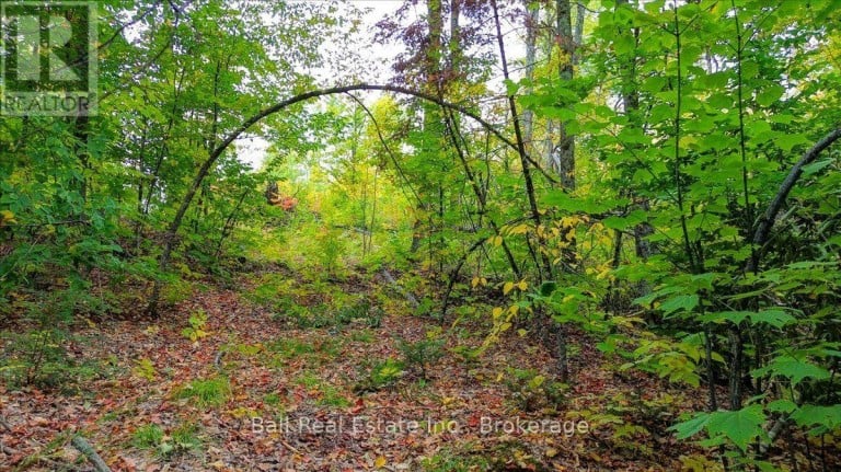 4249 OLD HASTINGS ROAD, Limerick, Ontario, K0L1W0