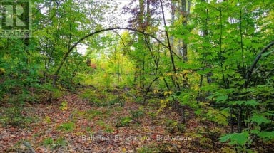 4249 OLD HASTINGS ROAD Limerick Ontario photo 25