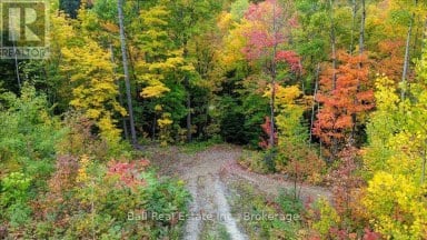 4249 OLD HASTINGS ROAD Limerick Ontario photo 26