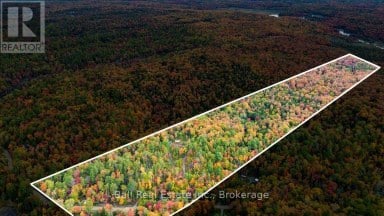 4249 OLD HASTINGS ROAD Limerick Ontario photo 27
