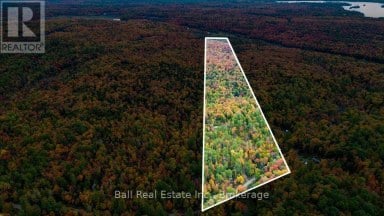 4249 OLD HASTINGS ROAD Limerick Ontario photo 28