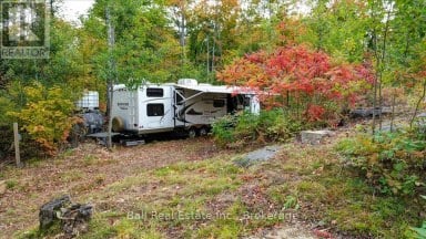 4249 OLD HASTINGS ROAD Limerick Ontario photo 8