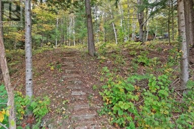 1086 DRAGONFLY LANE Minden Hills (Snowdon) Ontario photo 34