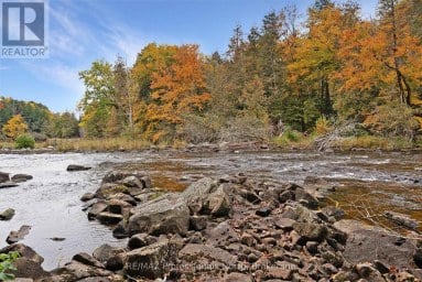 1086 DRAGONFLY LANE Minden Hills (Snowdon) Ontario photo 36