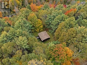 1086 DRAGONFLY LANE Minden Hills (Snowdon) Ontario photo 42