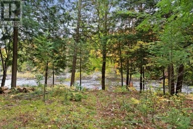 1086 DRAGONFLY LANE Minden Hills (Snowdon) Ontario photo 46