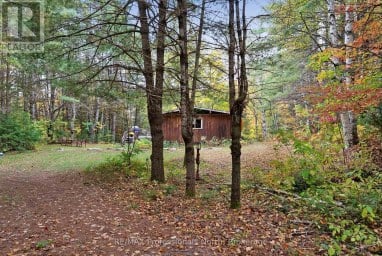1086 DRAGONFLY LANE Minden Hills (Snowdon) Ontario photo 48