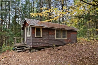 1086 DRAGONFLY LANE Minden Hills (Snowdon) Ontario photo 6