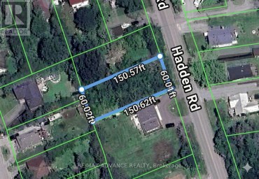 8 HADDEN ROAD Georgina (Virginia) Ontario photo 2