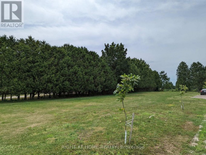 392 SECOND STREET, Strathroy-Caradoc (NE), Ontario, N7G3H8