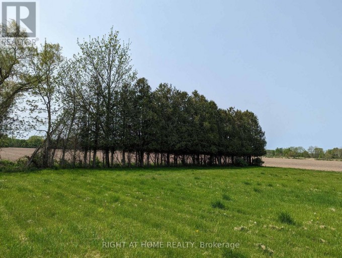 392 SECOND STREET, Strathroy-Caradoc (NE), Ontario, N7G3H8
