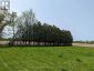 392 SECOND STREET, Strathroy-caradoc (ne), Ontario, N7G3H8 (ID X13859276)