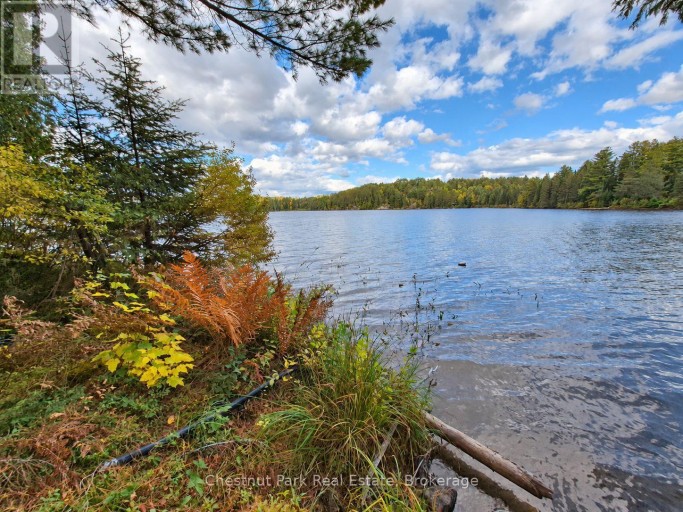 0 ROCK LAKE ROAD, Algonquin Highlands (Lawrence), Ontario, P0A1J0