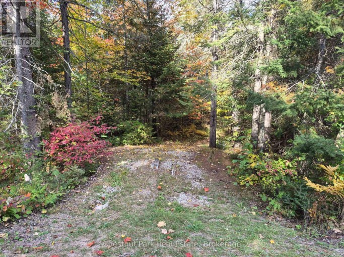 0 ROCK LAKE ROAD, Algonquin Highlands (Lawrence), Ontario, P0A1J0