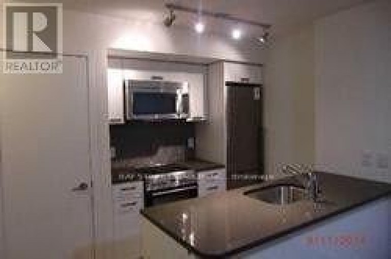 1710 - 295 ADELAIDE STREET W, Toronto (Waterfront Communities), Ontario, M5V0L4
