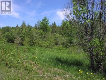 PARCEL 4217 WILLIAMSON TOWNSHIP Val Rita-Harty (Harty) Ontario photo 2