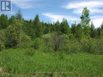 PARCEL 4217 WILLIAMSON TOWNSHIP Val Rita-Harty (Harty) Ontario photo 3