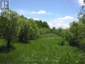 PARCEL 4217 WILLIAMSON TOWNSHIP Val Rita-Harty (Harty) Ontario photo 6