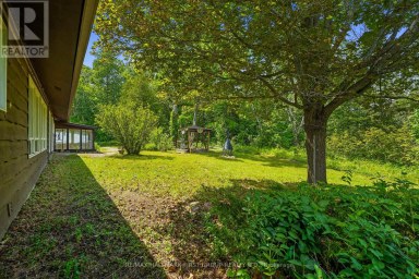 11758 COUNTY 29 ROAD Alnwick/Haldimand Ontario photo 5