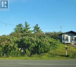72 STORE STREET Tweed (Elzevir (Twp)) Ontario photo 4