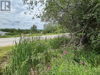 PT LT 10 3RD LINE Meaford Ontario photo 21