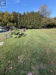 14 ALFRED STREET W Havelock-Belmont-Methuen (Belmont-Methuen) Ontario photo 20