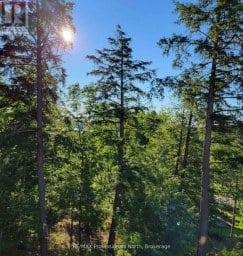 202 - 3 TREE TOPS LANE Huntsville (Chaffey) Ontario photo 13