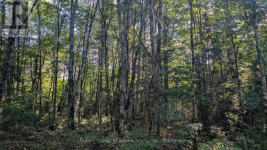 194 CLARKES LANE Huntsville (Stephenson) Ontario photo 3