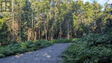 194 CLARKES LANE Huntsville (Stephenson) Ontario photo 6