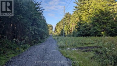 194 CLARKES LANE Huntsville (Stephenson) Ontario photo 7