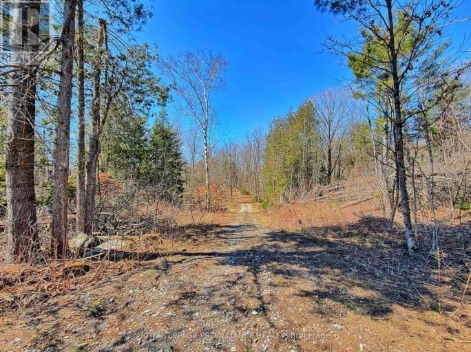 812 CLEVELAND ROAD, Tudor and Cashel (Tudor Ward), Ontario, K0K1Y0