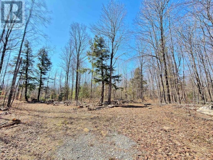 812 CLEVELAND ROAD, Tudor and Cashel (Tudor Ward), Ontario, K0K1Y0