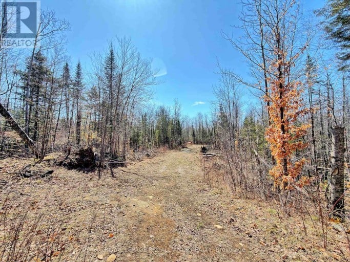 812 CLEVELAND ROAD, Tudor and Cashel (Tudor Ward), Ontario, K0K1Y0