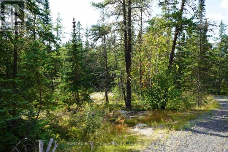 LOT 3 GUNN LAKE ROAD, Kenora Remote Area (Minaki-Winnepeg River), Ontario, P0X1J0