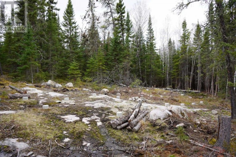 LOT 3 GUNN LAKE ROAD, Kenora Remote Area (Minaki-Winnepeg River), Ontario, P0X1J0