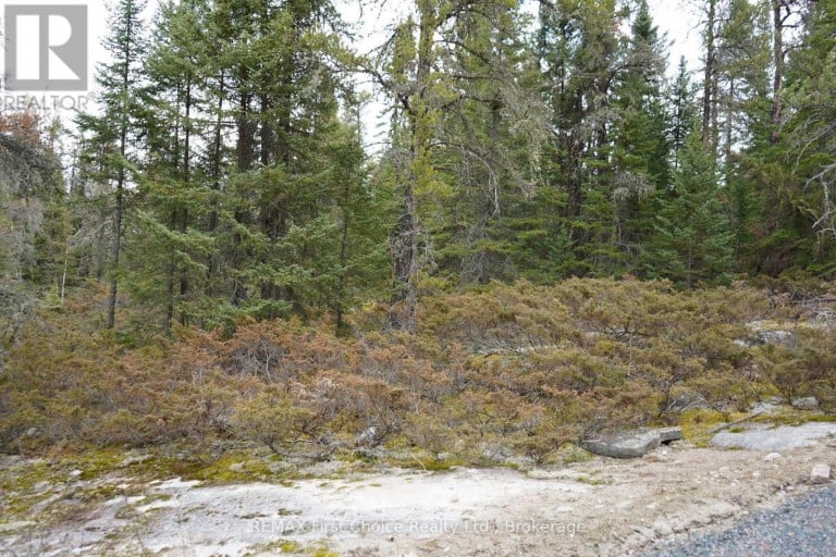 LOT 3 GUNN LAKE ROAD, Kenora Remote Area (Minaki-Winnepeg River), Ontario, P0X1J0