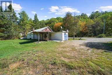 1093 SOUTH LAKE ROAD Minden Hills (Snowdon) Ontario photo 5