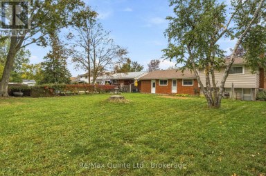 51 KELLER DRIVE Belleville (Belleville Ward) Ontario photo 41