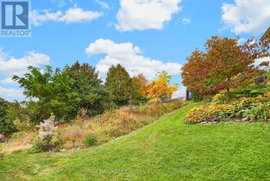 136 COUNTY 4 ROAD Douro-Dummer Ontario photo 49