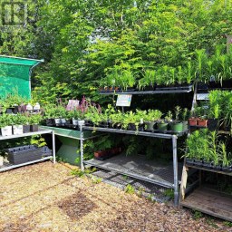 136 COUNTY 4 ROAD Douro-Dummer Ontario photo 6