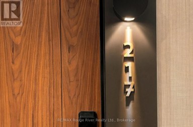 217 - 201 BROCK STREET S Whitby (Downtown Whitby) Ontario photo 2