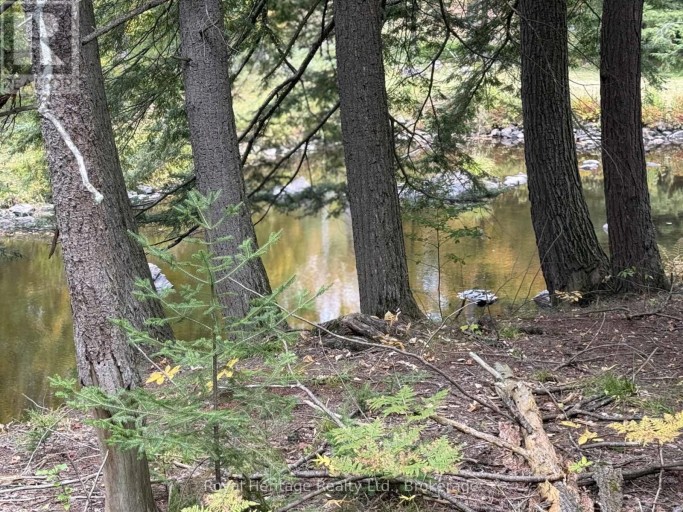 7 FIRE ROUTE 92 ROUTE, Trent Lakes, Ontario, K0M1A0