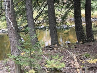 7 FIRE ROUTE 92 ROUTE Trent Lakes Ontario photo 2