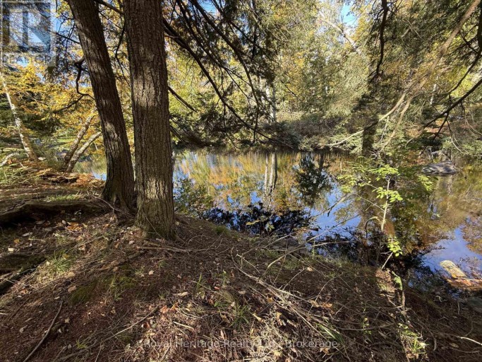 7 FIRE ROUTE 92 ROUTE, Trent Lakes, Ontario, K0M1A0