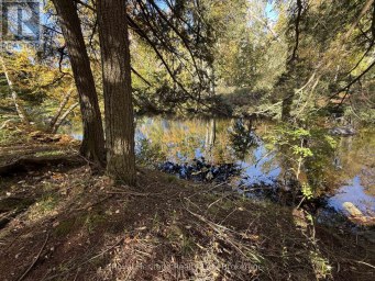7 FIRE ROUTE 92 ROUTE Trent Lakes Ontario photo 3